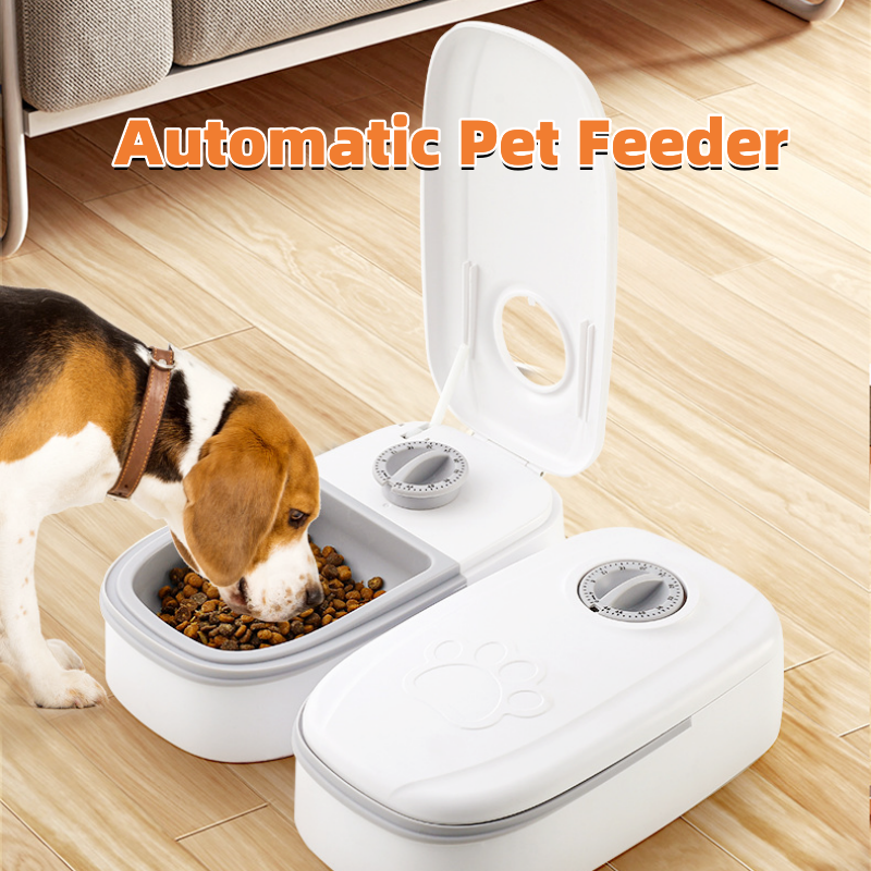 Pet Timed Feeding Bowl